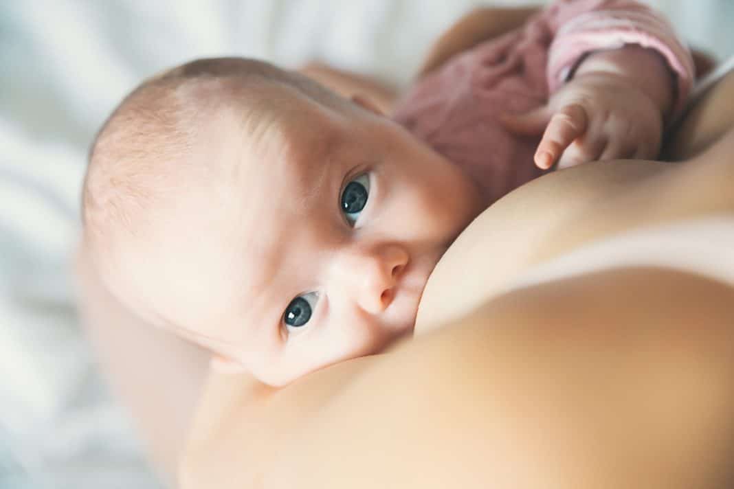 Mise en place de l'allaitement : tout savoir pour bien démarrer - Lait maternel