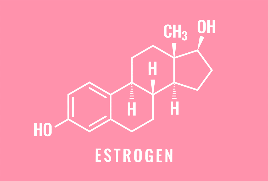 Définition : qu'est-ce que l'œstrogène ? 