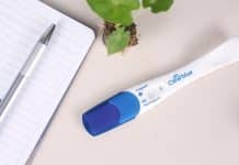 Un test de grossesse Clearblue avec une barre d'évaporation à côté d'un stylo argenté et un carnet ouvert sur une surface beige clair avec une petite plante en pot.